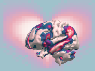 El cerebro en el amor