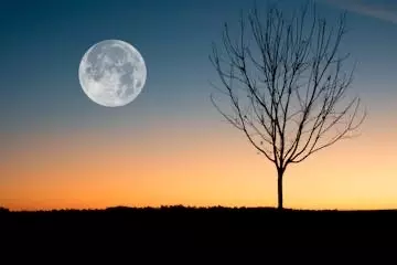 Selenofilia: Fascinación por la Luna - Definición y Expresión